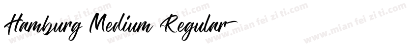 Hamburg Medium Regular字体转换